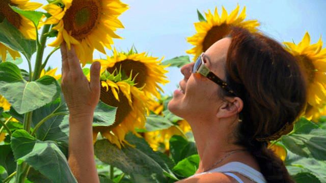 soriano_paola_sunflowers.jpg